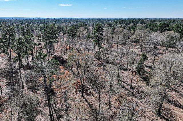 14.5 Acres Westview Drive, Huntsville, TX 77320