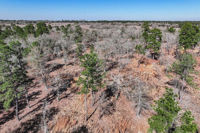 14.5 Acres Westview Drive, Huntsville, TX 77320
