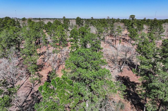 14.5 Acres Westview Drive, Huntsville, TX 77320