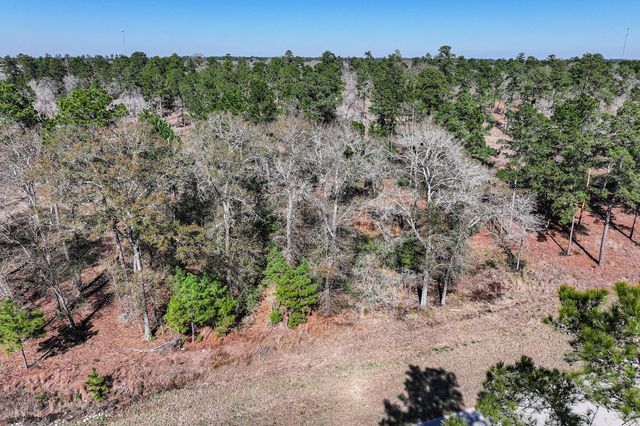 14.5 Acres Westview Drive, Huntsville, TX 77320