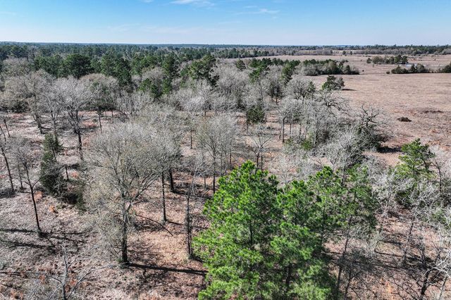 14.5 Acres Westview Drive, Huntsville, TX 77320