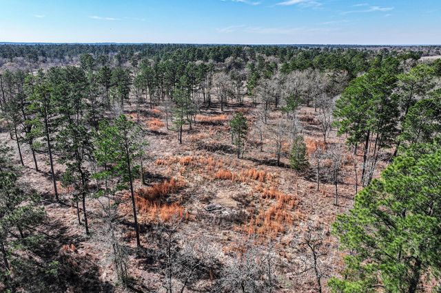 14.5 Acres Westview Drive, Huntsville, TX 77320