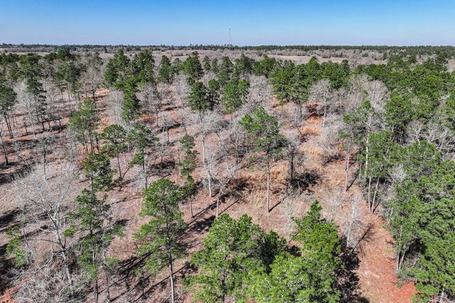 14.5 Acres Westview Drive, Huntsville, TX 77320