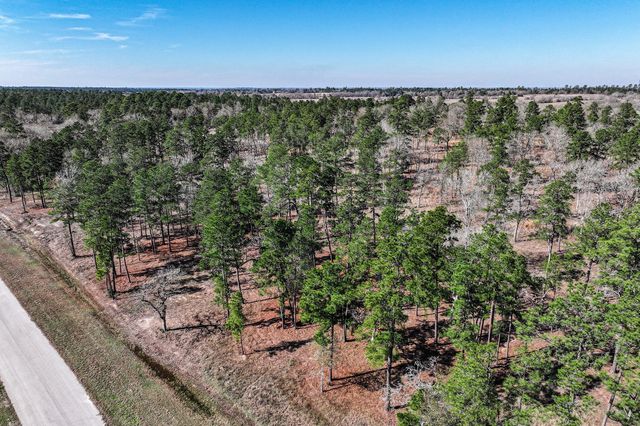 14.5 Acres Westview Drive, Huntsville, TX 77320