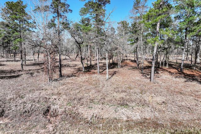 14.5 Acres Westview Drive, Huntsville, TX 77320
