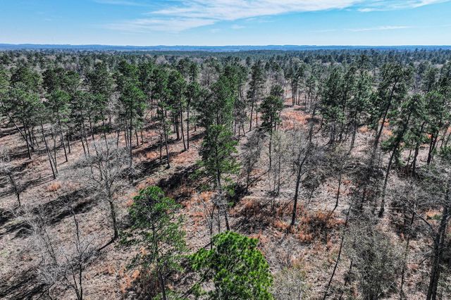 14.5 Acres Westview Drive, Huntsville, TX 77320