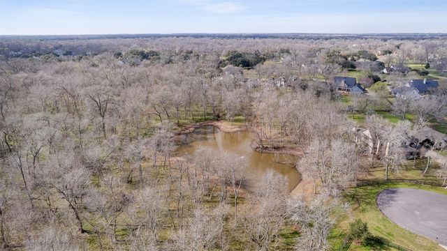 31419 Blue Heron Lane, Fulshear, TX 77441