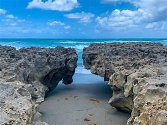 431 Jupiter Lakes Boulevard 2124d, Jupiter, FL 33458