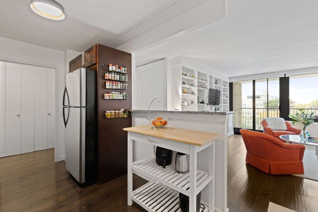 1555 N Sandburg Terrace 607K, Chicago, IL 60610