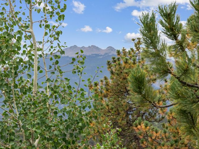 557 Grand Estates Dr, Estes Park, CO 80517