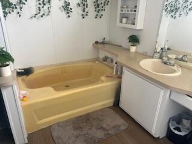 6806 N County Rd 1630, Shallowater, TX 79363