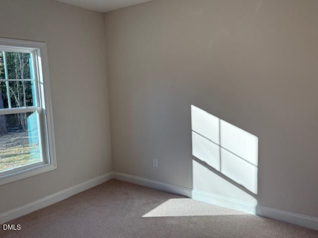 178 Surles Landing Way, Benson, NC 27504