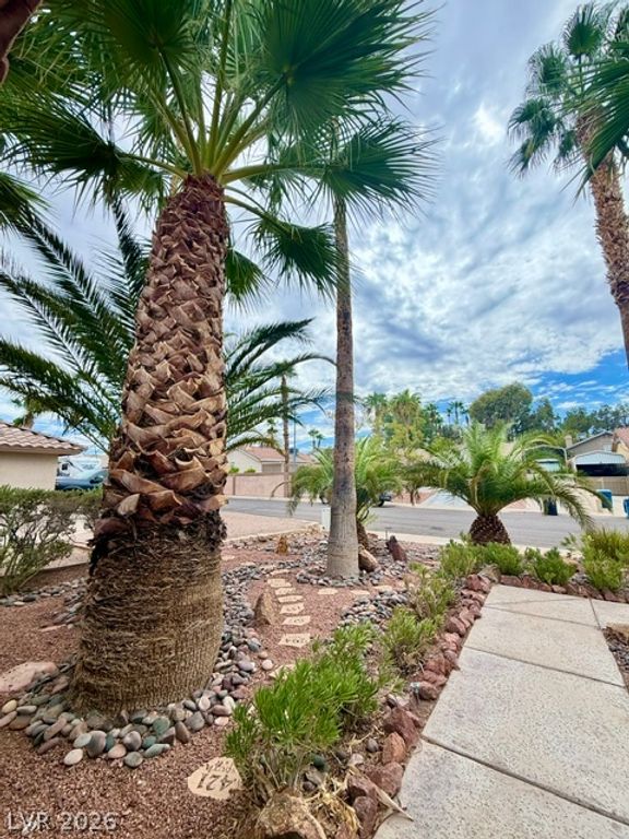 804 RANCHO COAST Way, Henderson, NV 89002 — photo 3