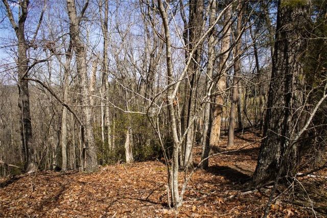 0 TANAGER Trail, Alto, GA 30510