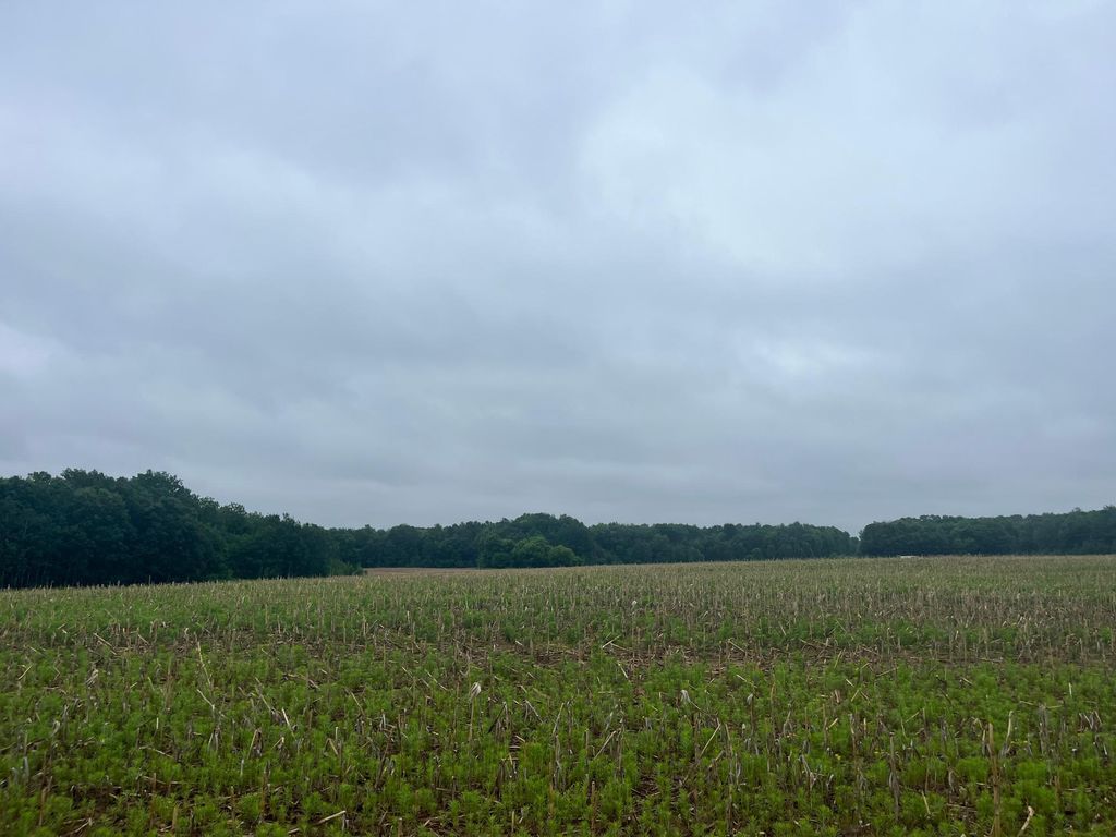 TBD (Lot 1) Hemingway Avenue, North Branch, MN 55056 — exterior