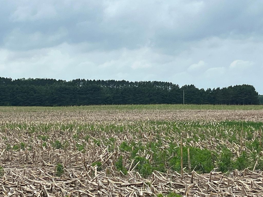 TBD (Lot 1) Hemingway Avenue, North Branch, MN 55056 — photo 2