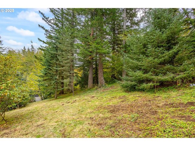 421 Se POUNDER Rd, Corbett, OR 97019