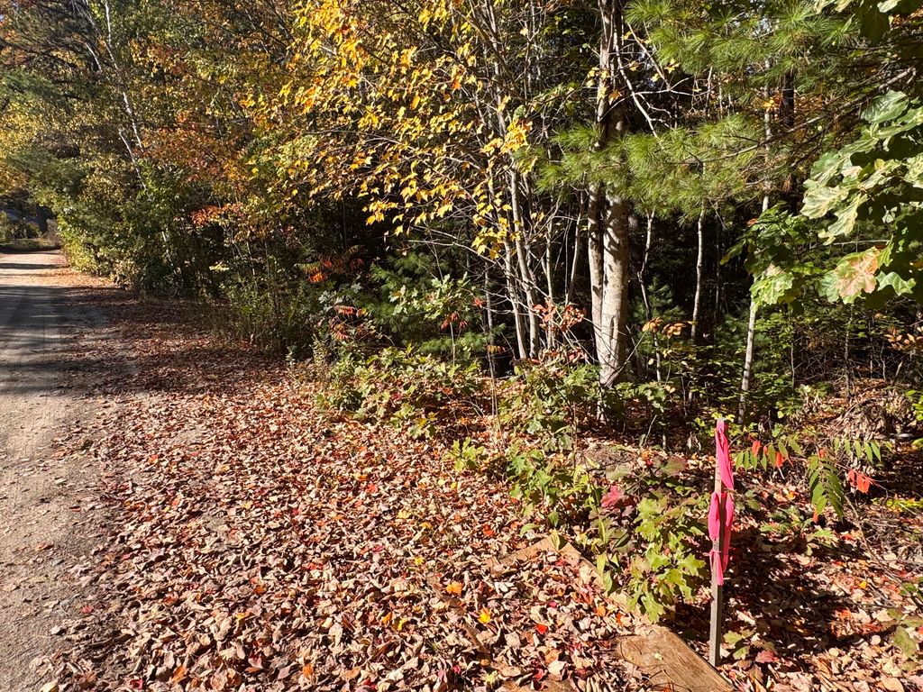 Lot 1 Shaw Brook Lane, Gray, ME 04039 — photo 3