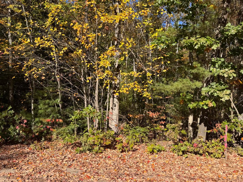 Lot 1 Shaw Brook Lane, Gray, ME 04039 — photo 4