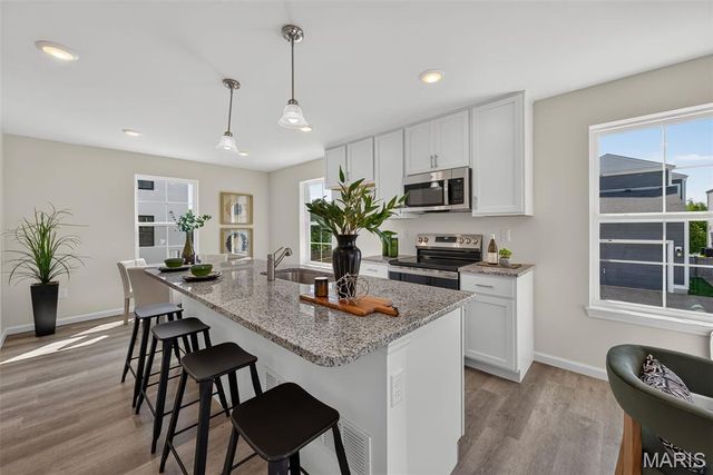 188 Canal Cottage Alley, St Charles, MO 63301