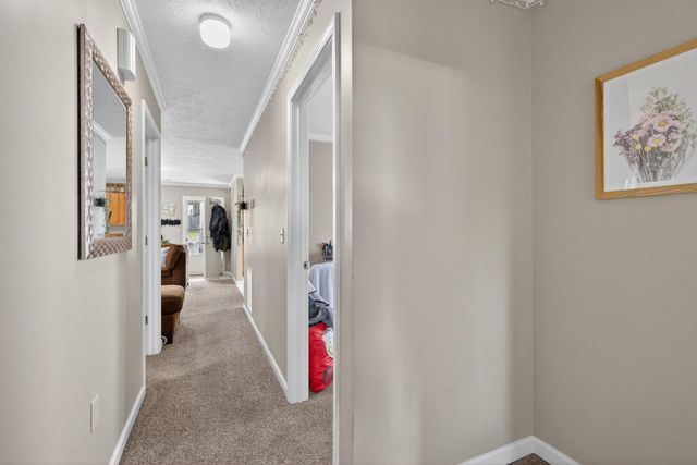 141 Colfax Street, Lexington, KY 40508