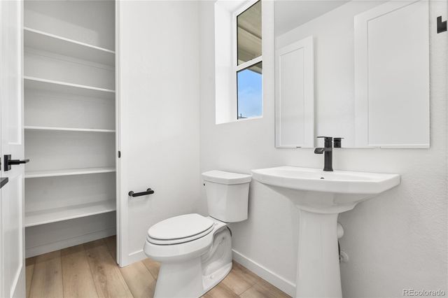 11972 Octave Avenue, Lone Tree, CO 80134