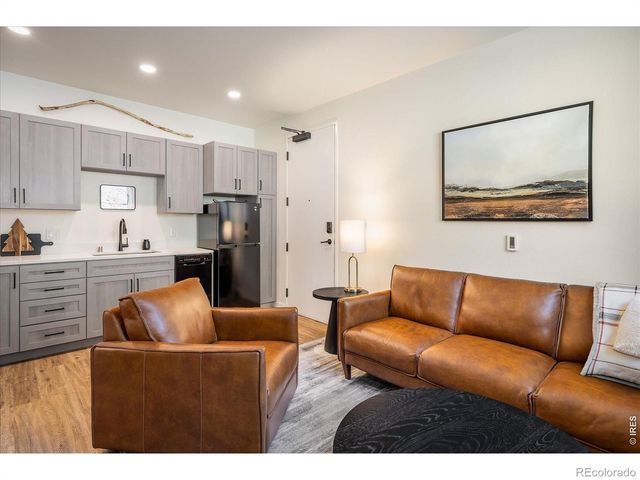 2121 Hummingbird Way 201, Georgetown, CO 80444