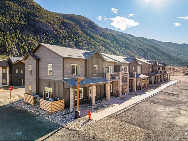2121 Hummingbird Way 201, Georgetown, CO 80444