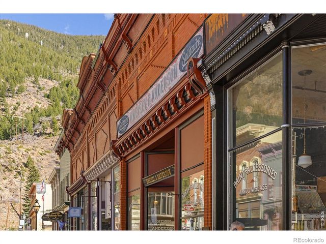 2121 Hummingbird Way 201, Georgetown, CO 80444