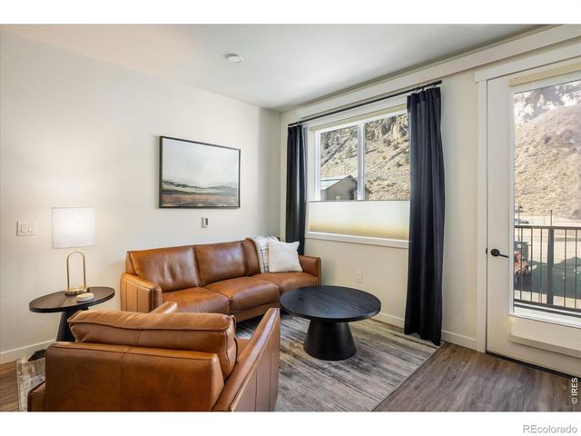 2121 Hummingbird Way 201, Georgetown, CO 80444