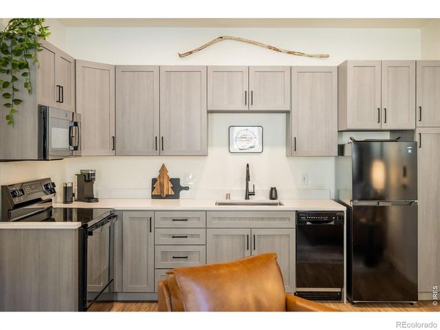 2121 Hummingbird Way 201, Georgetown, CO 80444