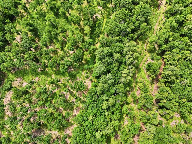 246 Laconia Road, Tilton, NH 03276