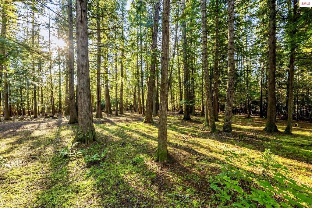 NKA Bishops Bay Ln, Sagle, ID 83860 photo 17