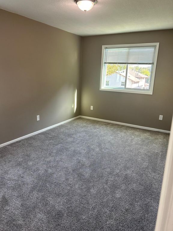 4252 Monroe Street NE, Columbia Heights, MN 55421 — photo 4