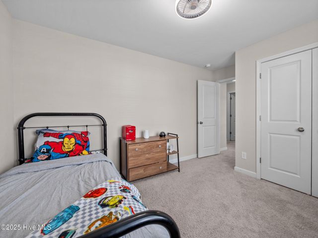 540 Misty Pond Drive, Hubert, NC 28539