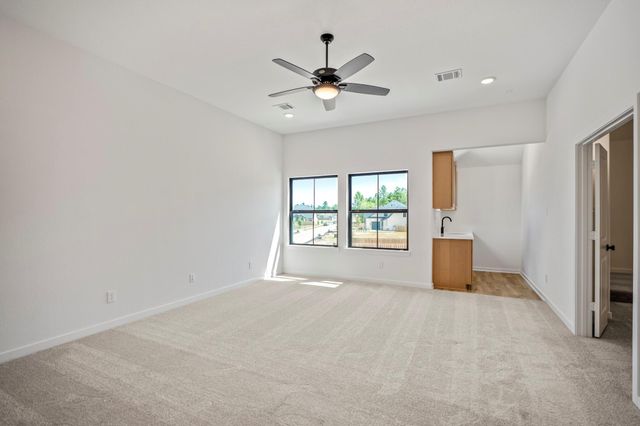 41827 Wendele Way, Todd Mission, TX 77316