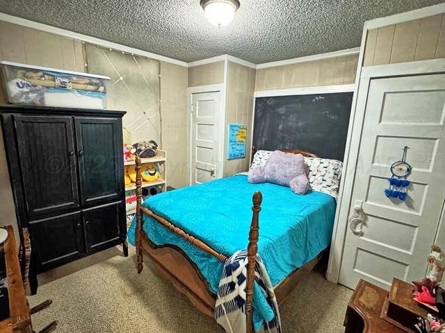 12900 Co Rd 5, Spearman, TX 79081