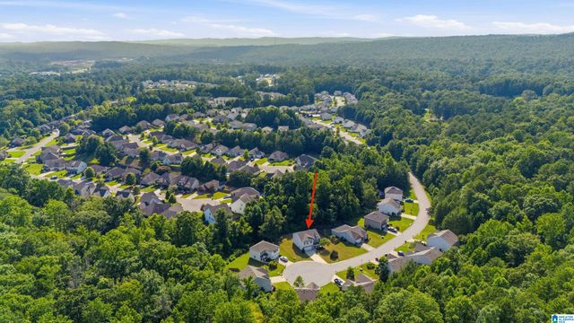 852 HUNTINGTON TRACE, Chelsea, AL 35043