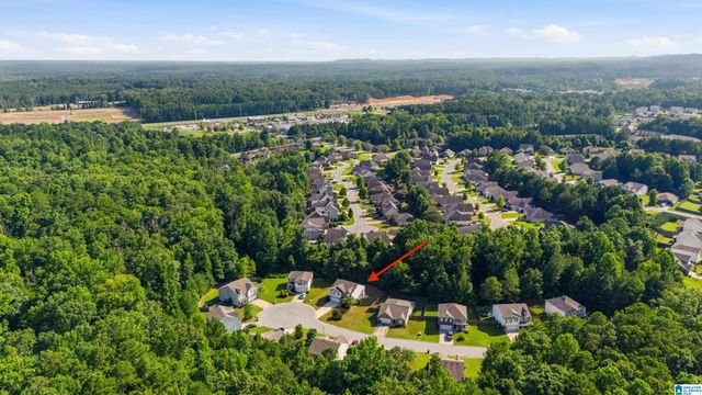 852 HUNTINGTON TRACE, Chelsea, AL 35043