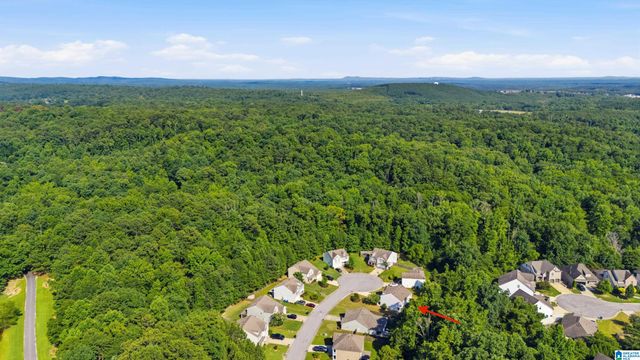 852 HUNTINGTON TRACE, Chelsea, AL 35043
