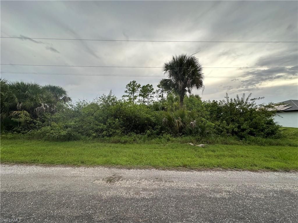 850 Haskell ST E, LEHIGH ACRES, FL 33974 — photo 4