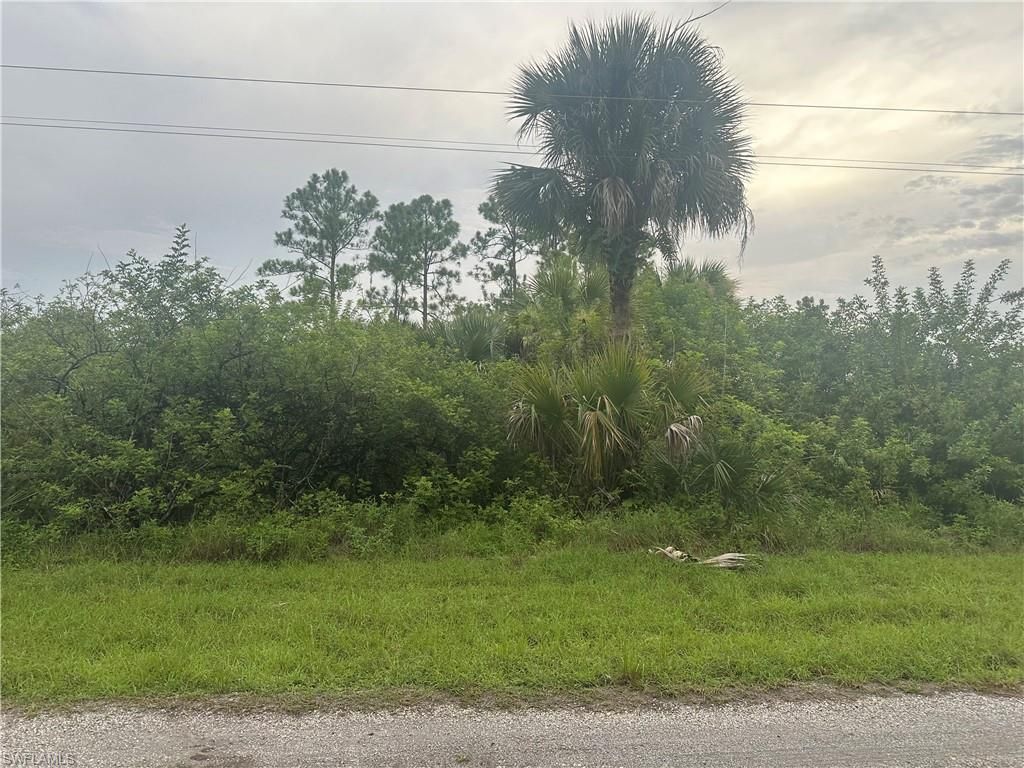 850 Haskell ST E, LEHIGH ACRES, FL 33974 — photo 5