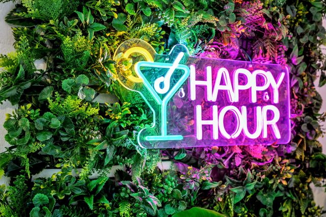 1229 NE 17th Avenue, Fort Lauderdale, FL 33304