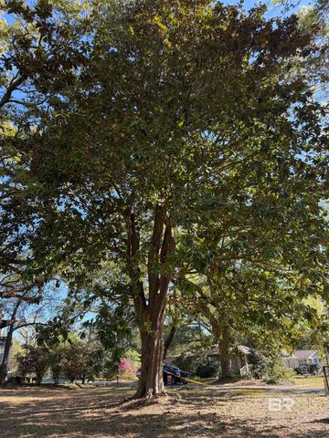 208 Oswalt Street, Fairhope, AL 36532