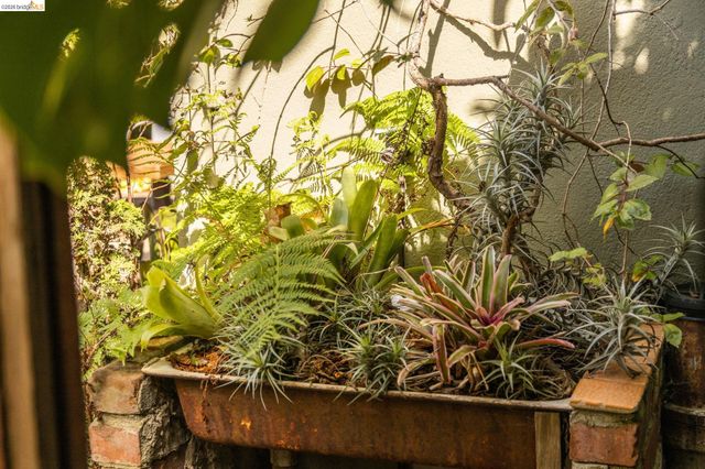 1250 Ocean Ave, Emeryville, CA 94608