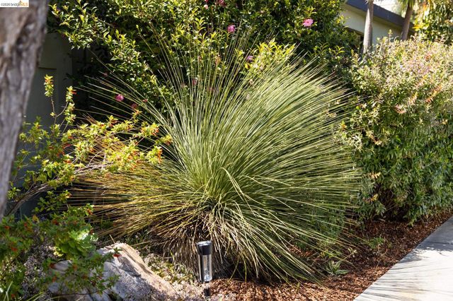 1250 Ocean Ave, Emeryville, CA 94608