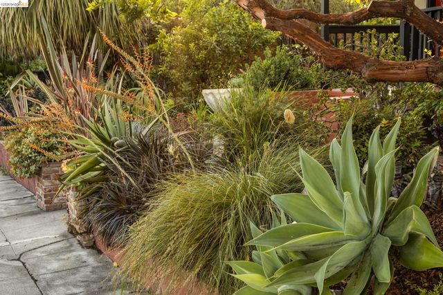 1250 Ocean Ave, Emeryville, CA 94608