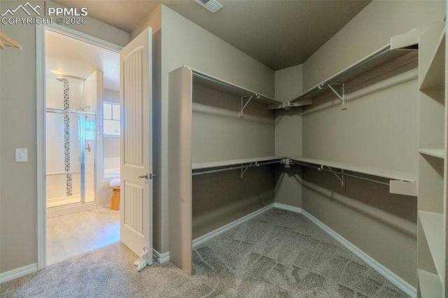 1133 Crown Haven Circle, Colorado Springs, CO 80919