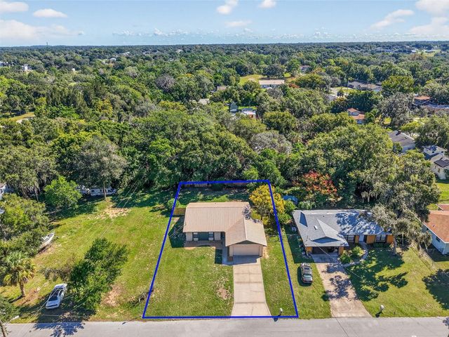 501 FAHNSTOCK STREET, Eustis, FL 32726