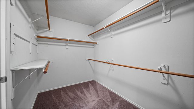 134 S Vesper Bend Circle, Spring, TX 77382